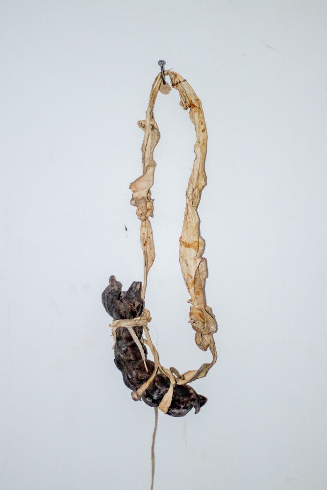 Dried herbs and pods bound with fibre, hung from a nail