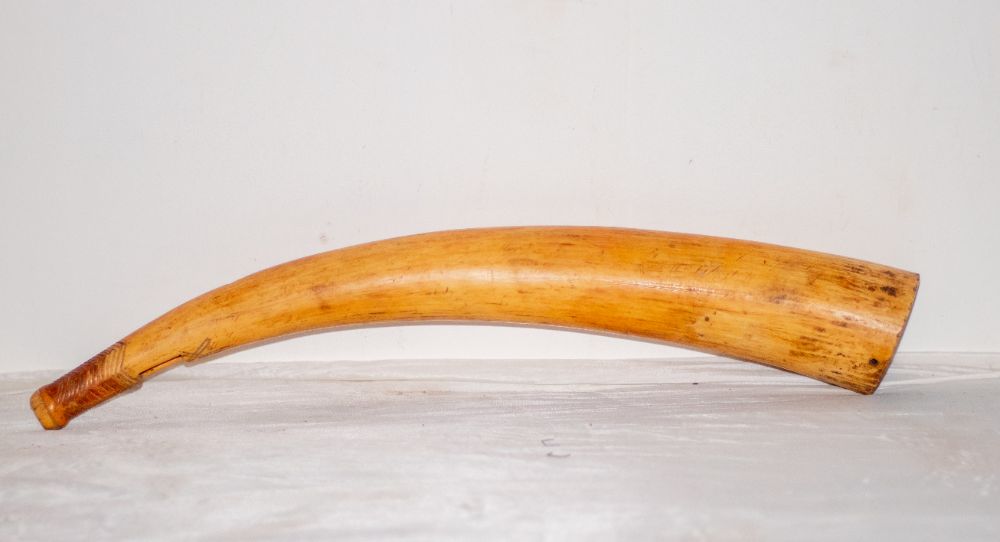 A carved ivory horn lying on its side